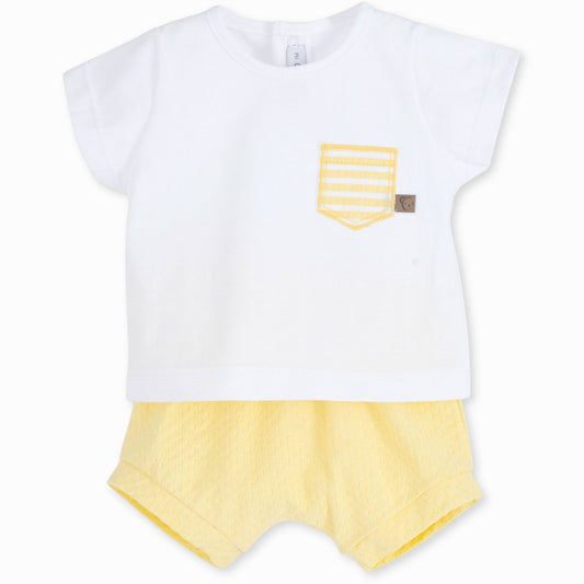 baby boys summer t shirt and shorts lemon yellow outfit
