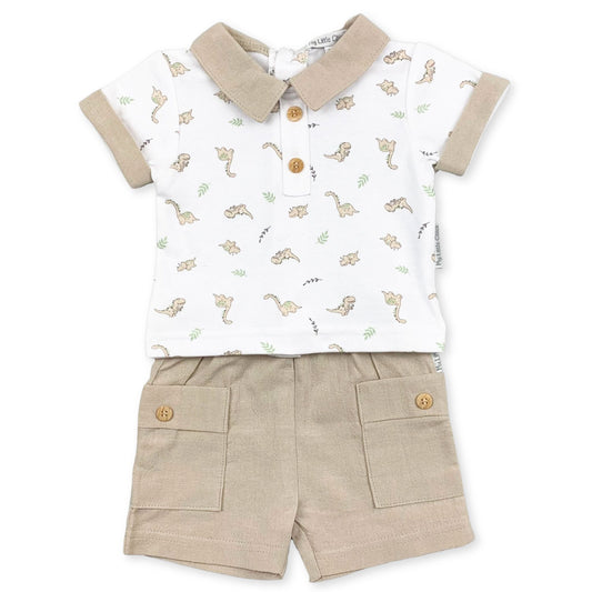 baby boys dinosaur outfit 