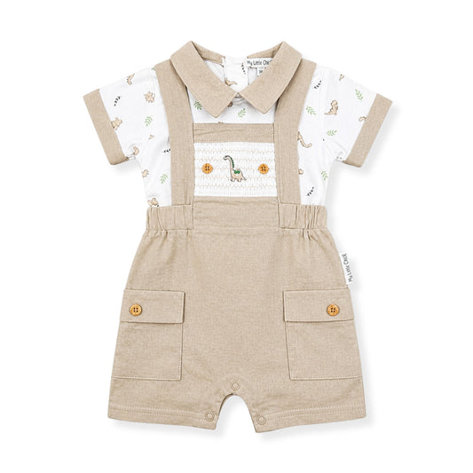 boys dinosaur design dungarees and tshirt